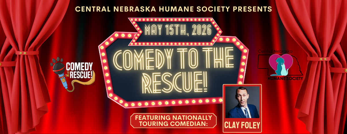Comedy to the Rescue 2026